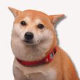 AirTag Collar (10)