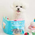 Bday Book (9)