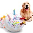 Bday Cake (1)