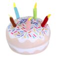 Bday Cake (2)