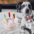 Bday Cake (3)