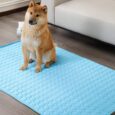 Summer Cooling Mat (4)