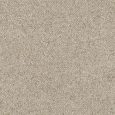Untitled design - 2024-10-23T135142.043